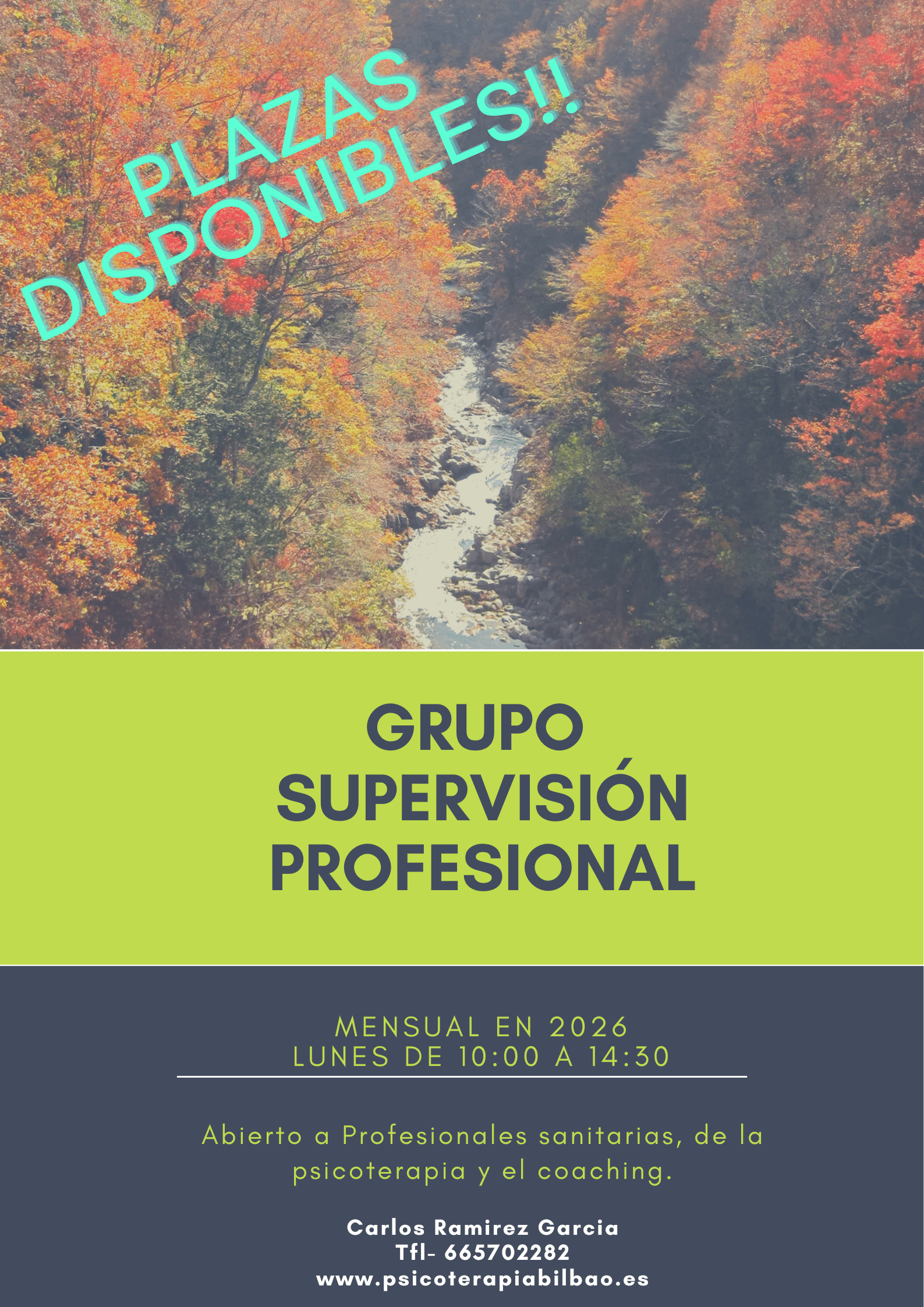 Supervisión Bilbao